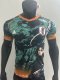 Japan  Special Edition Player 1:1 Quality Soccer Jersey 25/26