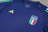 Italy Training Suit Blue 1:1 Quality Training Jersey 24/25