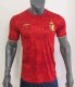 24/25 Spain  Special Edition  Fans 1:1 Quality Soccer Jersey