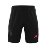 Juventus Grey 1:1 Quality Training Vest（A-Set）24/25