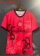 24/25  Inter Milan  Special Edition  Red  Fans 1:1 Quality Soccer Jersey
