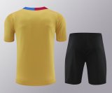 Barcelona Yellow 1:1 Quality Training Jersey（A-Set）24/25