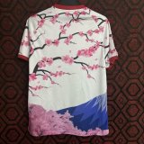 24/25 Japan Special Edition Fans 1:1 Quality Soccer Jersey