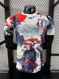 Japan  Special Edition Player 1:1 Quality Soccer Jersey 25/26