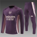 Arsenal Training Purple Player 1:1 Quality Training Jersey 24/25