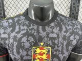 England Special Edition Player 1:1 Quality Soccer Jersey 24/25