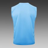 24/25  Real Madrid  Blue 1:1 Quality Training Vest（A-Set）