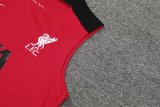 Liverpool  Black and Red   1:1 Quality Training Vest（A-Set）24/25