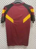Roma Special Edition Fans 1:1 Quality Soccer Jersey 24/25