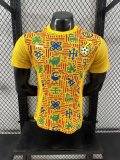 Ghana  Special Edition Yellow Player 1:1 Quality Soccer Jersey 24/25
