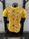 Ghana  Special Edition Yellow Player 1:1 Quality Soccer Jersey 24/25