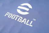 Inter Milan Training  Grey 1:1 Quality Training Jersey 24/25
