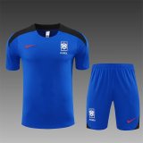 Korea Blue 1:1 Quality Training  Jersey（A-Set）24/25