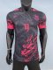 Barcelona Special Edition PLayer  1:1 Quality Soccer Jersey 24/25