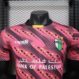 Palestine Special Edition Player 1:1 Quality Soccer Jersey 25/26