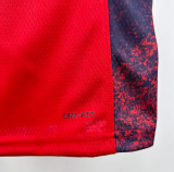 Team USA JAMES #6 Red 1:1 Quality NBA Jerseys 2024