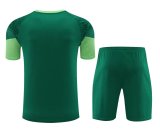 Palmeiras Green 1:1 Quality Training Jersey（A-Set）24/25