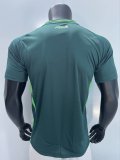 Algeria Away Fans 1:1 Quality Soccer Jersey 24/25