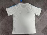 Argentina Training clothes Fans  1:1  Quality Soccer Jersey 25/26