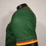 Cameroon Home Player  1:1 Quality Soccer Jersey 25/26