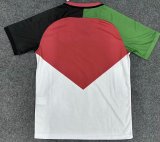 Palestine  White Fans 1:1 Quality Soccer Jersey 24/25