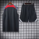 Liverpool Grey 1:1 Quality Training Vest（A-Set）24/25