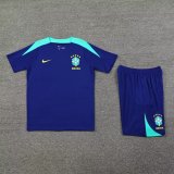 24/25  Brazil Blue 1:1 Quality Training Jersey（A-Set）