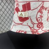 Japan  Special Edition Player 1:1 Quality Soccer Jersey 25/26