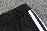Japan Colorful Dragon Ball Training  1:1 Quality Training Jersey 24/25