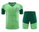 Palmeiras Green 1:1 Quality Training Jersey（A-Set）24/25
