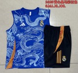 Real Madrid  Blue 1:1 Quality Training Vest（A-Set）24/25