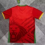 24/25 Cameroon Away Fans 1:1 Quality Soccer Jersey