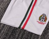 Mexico Home Kids Retro 1:1 Quality Soccer Jersey 1998
