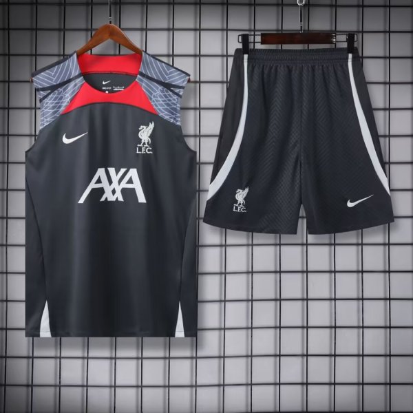 Liverpool Grey 1:1 Quality Training Vest（A-Set）24/25