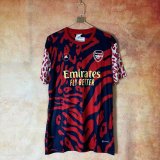 Arsenal Special Edition Fans  1:1 Quality Soccer Jersey 25/26
