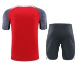 Liverpool  Red 1:1 Quality Training  Jersey（A-Set）24/25
