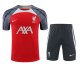 Liverpool  Red 1:1 Quality Training  Jersey（A-Set）24/25