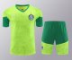 Palmeiras Green 1:1 Quality Training Jersey（A-Set）24/25