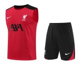 Liverpool  Black and Red   1:1 Quality Training Vest（A-Set）24/25