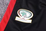 Palestine Training  White 1:1 Quality Training Jersey 16/17