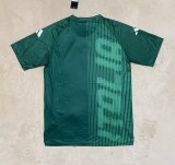 Italy  Training clothing  Fans 1:1 Quality Soccer Jersey 24/25