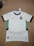 Cote d'Ivoire  Away  3-Stars  Fans 1:1 Quality Soccer Jersey 24/25