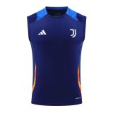 Juventus Blue 1:1 Quality Training Vest（A-Set）24/25