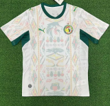 Senegal  Home Fans 1:1 Quality Soccer Jersey 26/27（2026）