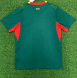 Senegal Away Fans 1:1 Quality Soccer Jersey 26/27（2026）