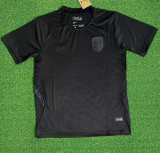 Norway Away Fans 1:1 Quality Soccer Jersey 26/27（2026）
