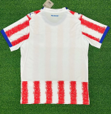 Paraguay Home Fans 1:1 Quality Soccer Jersey 26/27（2026）