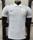 Uruguay Home Player 1:1 Quality Soccer Jersey 26/27（2026）