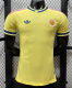 Curacao Away Player 1:1 Quality Soccer Jersey 26/27（2026）