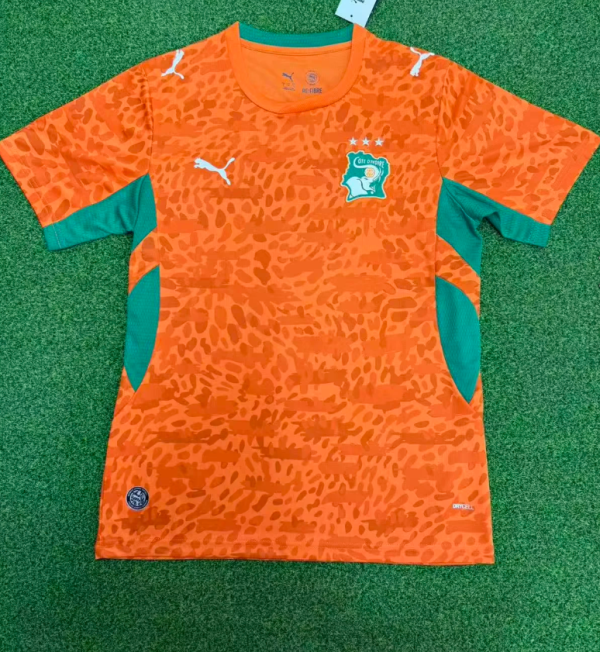 Cote d'Ivoire Home Fans 1:1 Quality Soccer Jersey 26/27(2026)